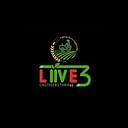 Liive3 Engineers Farmzz logo