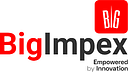 Big Imports And Gifts logo