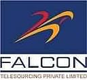Falcon Telesourcing Pvt Ltd logo