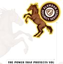 Alamdar Security Services Private Limited logo