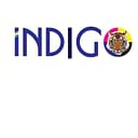 Indigo Impex logo