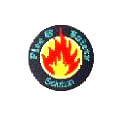 Fire and Safety Solution logo
