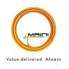 Maini Group logo
