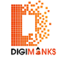 Digimonks Private Limited logo