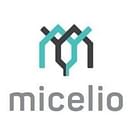 Micelio-Lightning Logistics logo