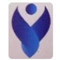 Vision Enterprises logo