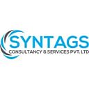 Syntags Professional Services logo