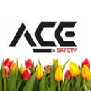 Ace Safety and Industrial Products Corporation logo