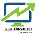 BS Pro Consultant logo