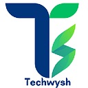 Techwysh Services & Sols logo