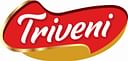 Triveni Agrocon Private Limited logo