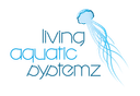 Name