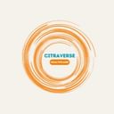Citraverse Healthcare Private Limited logo