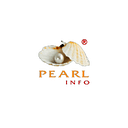 Add Pearlinfo Private Limited logo