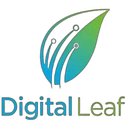 Digital Leaf Marketing logo