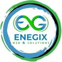 Enegix Global Private Limited logo