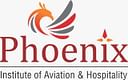 Phoenix Institute Of Aviation  logo