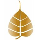 Bio Resurge Life Coaching Health Services logo