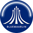 Bluemaarlin Engineering Private Limited logo