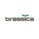 Brassica Pharma Private Limited logo