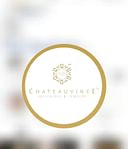 Chateauvince Solitaires Private Limited logo