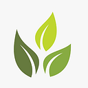 Ray Prime Wealth Private Limited logo