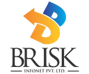 Brisk Infonet logo