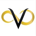 Velocity Infinite Realty Llp logo