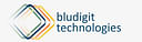Bludigit Technologies logo