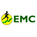 Effective Management Consultants