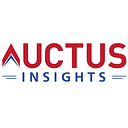 Auctus Insights LLP logo