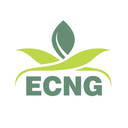 Expert CNG Center