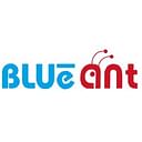 Blueant Finserv Private Limited logo
