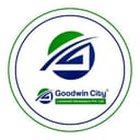 Goodwin City Landmark Developers Private Limited