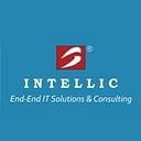 Intellic Systems logo