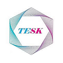 Tesk Training Consultancy logo