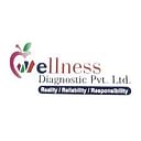 Wellness Diagnostics logo