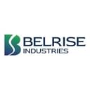 BELRISE INDUSTRIES LIMITED logo