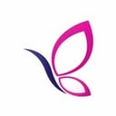 Butterfly Collection
