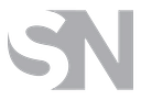Style Nation logo