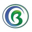Bridgestone business Solutions
