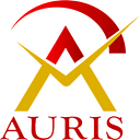 Auris Finmart Private Limited logo