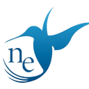 Nesteye Insights Private Limited logo