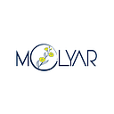 Molyar Partner logo