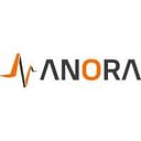 Anora Instrumentation logo