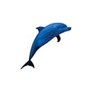 Dolphin Acadamy logo