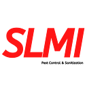 SLMI Services Private Limited logo
