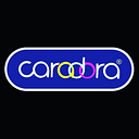 Caradora International Private Limited logo