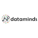 Data Minds Analytics logo