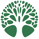 Junius Project logo
